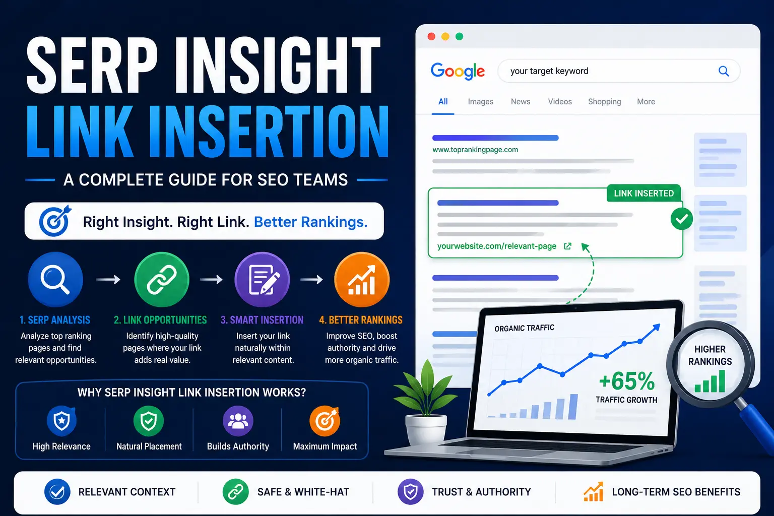 SERP Insight Link Insertion
